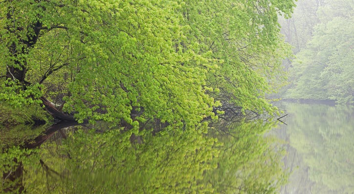Kalamazoo River Kalamazoo River