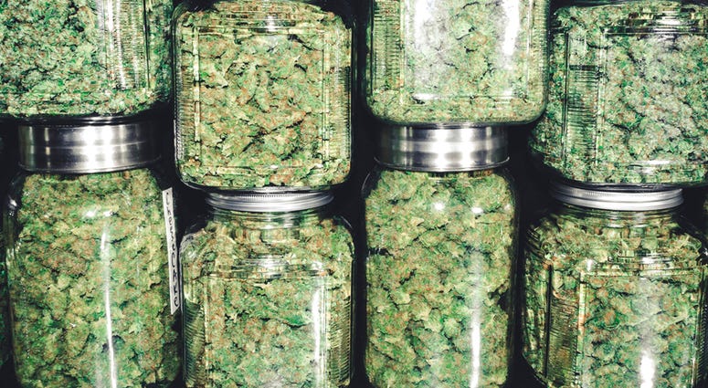 Marijuana in jars Marijuana in jars