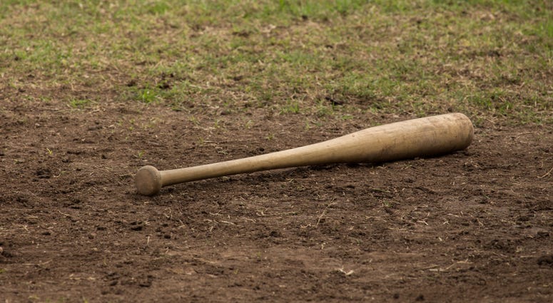 baseball bat baseball bat
