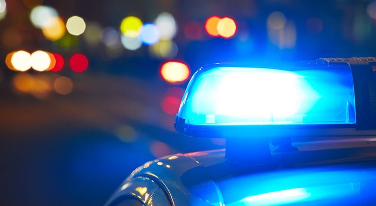 police light police light