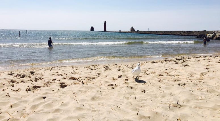 Lake Michigan - Grand Haven State Park Beach Lake Michigan - Grand Haven State Park Beach