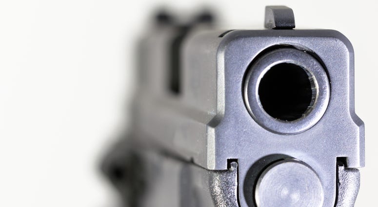 gun gun