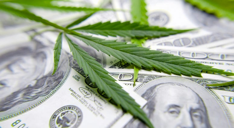 marijuana business marijuana business