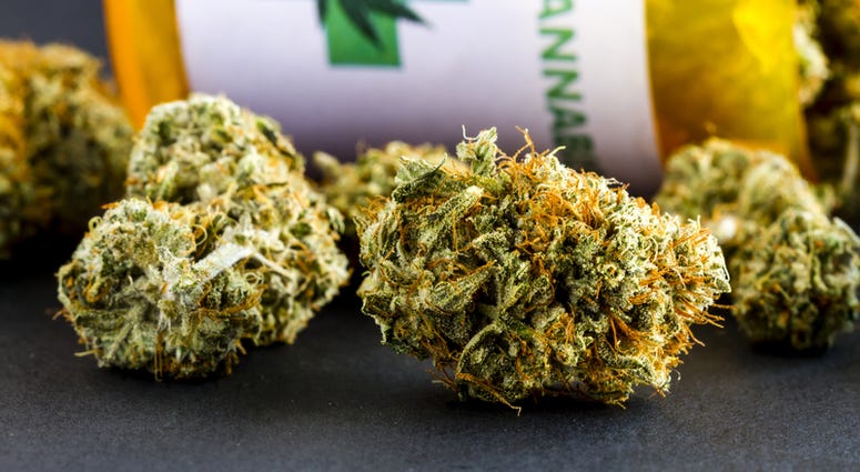 medical marijuana medical marijuana