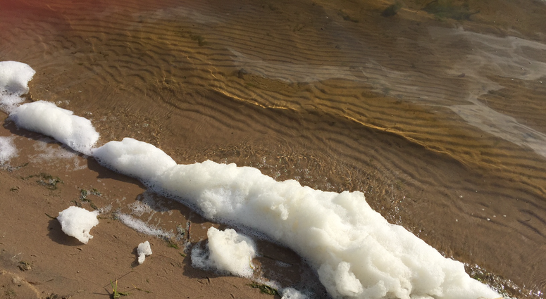 PFAS foam PFAS foam