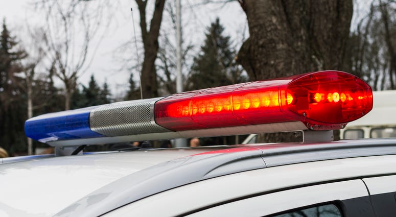 police car in day time police car in day time