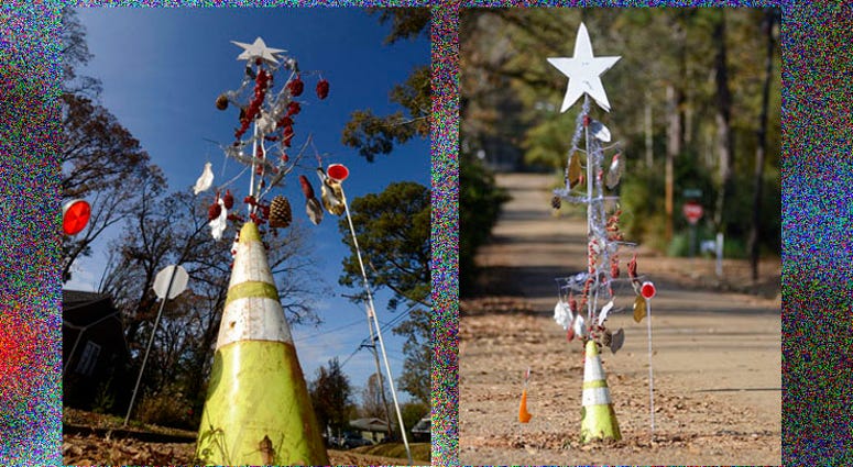 pothole tree pothole tree