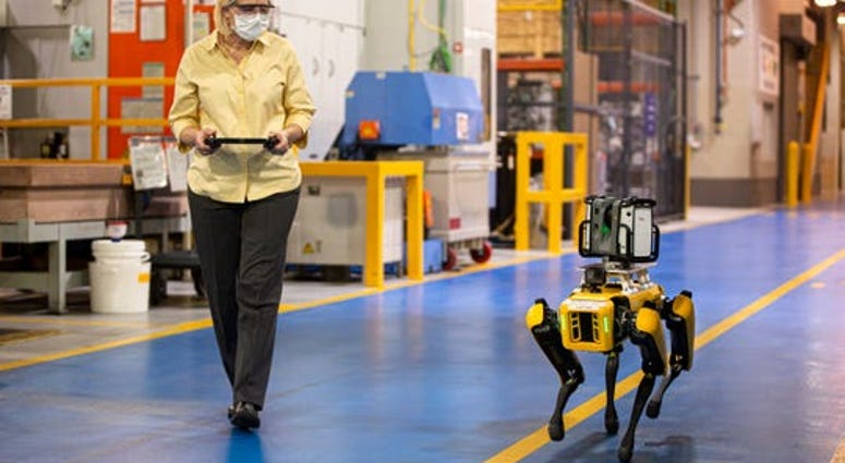 Ford hires a robot dog