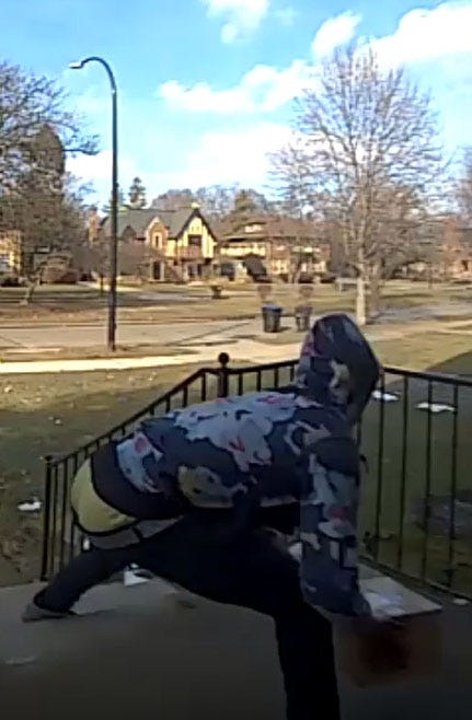 Detroit Porch Pirate