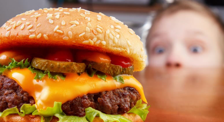 Cheeseburger Burger