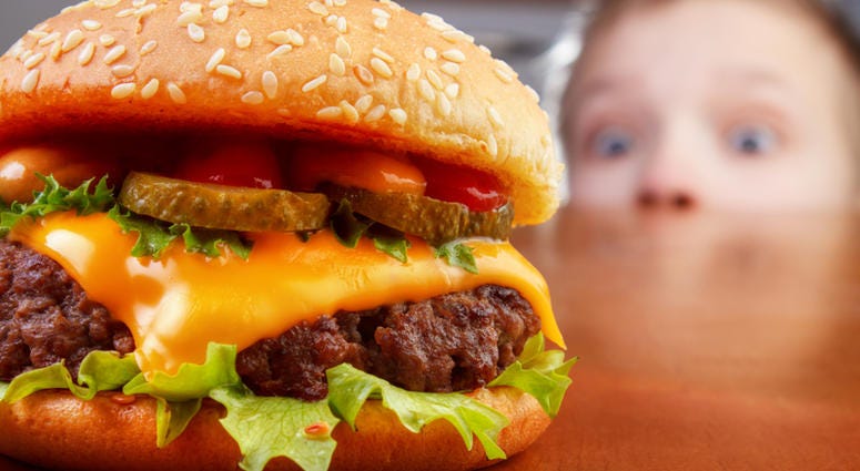 Cheeseburger Burger