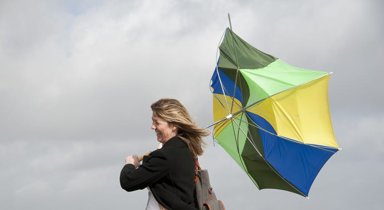 windy windy