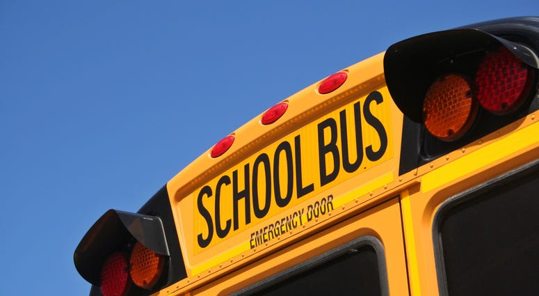 school bus school bus