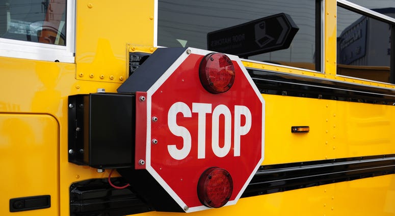 school bus school bus
