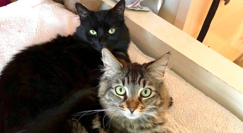 Tina and Louise Tina and Louise