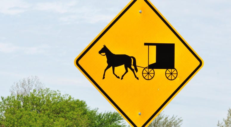 amish buggy amish buggy