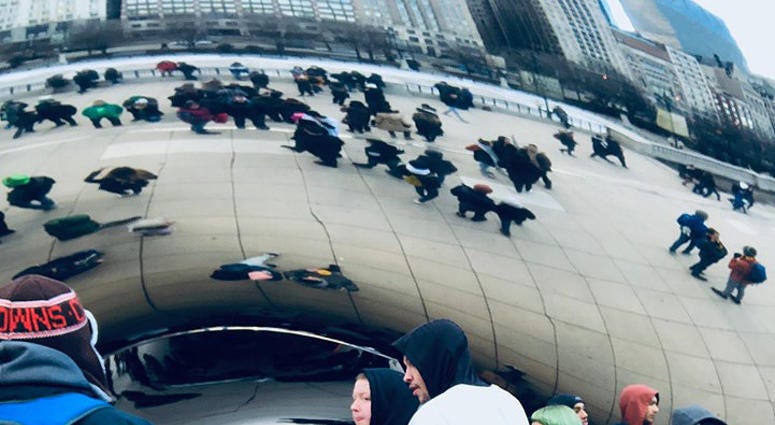 the bean the bean