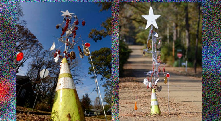 pothole tree pothole tree
