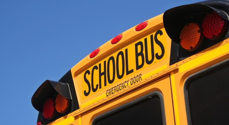 school bus school bus