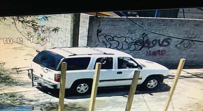 Dog theft - suspect vehicle Dog theft - suspect vehicle