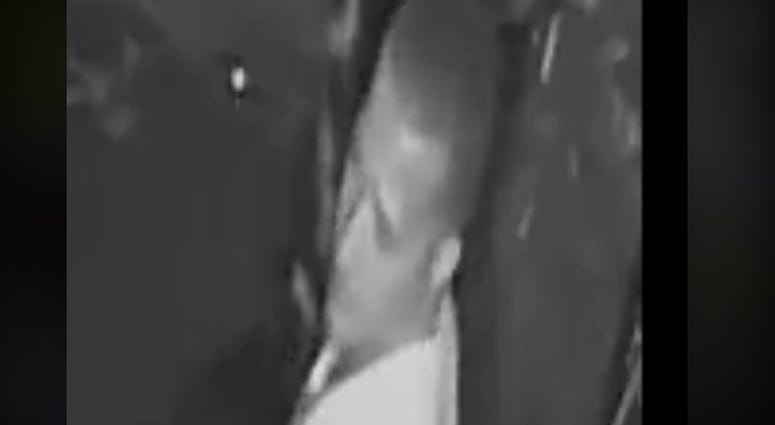 westland suspect westland suspect