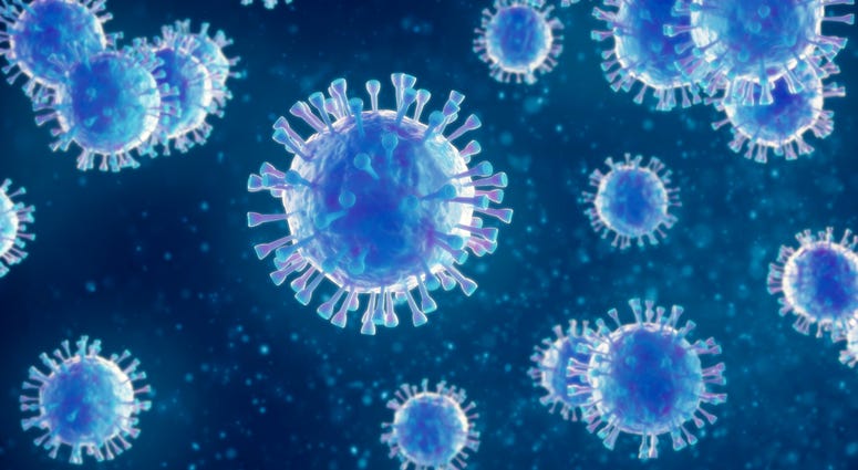 virus