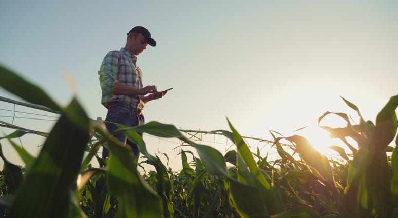 Farmer
