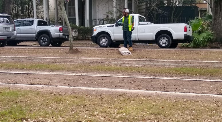 Mardi Gras