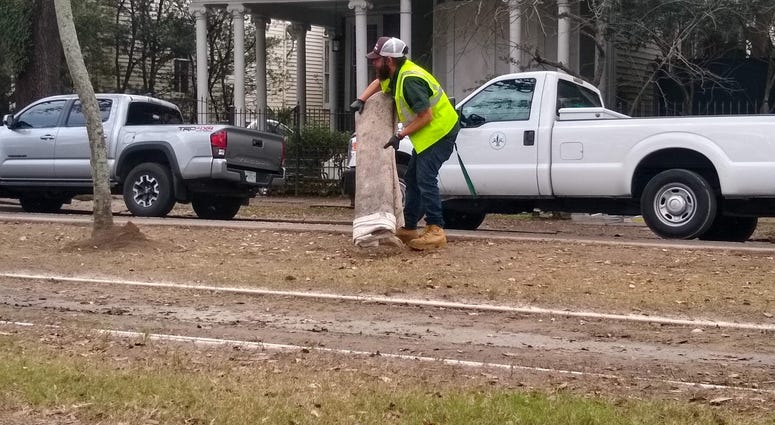 Mardi Gras