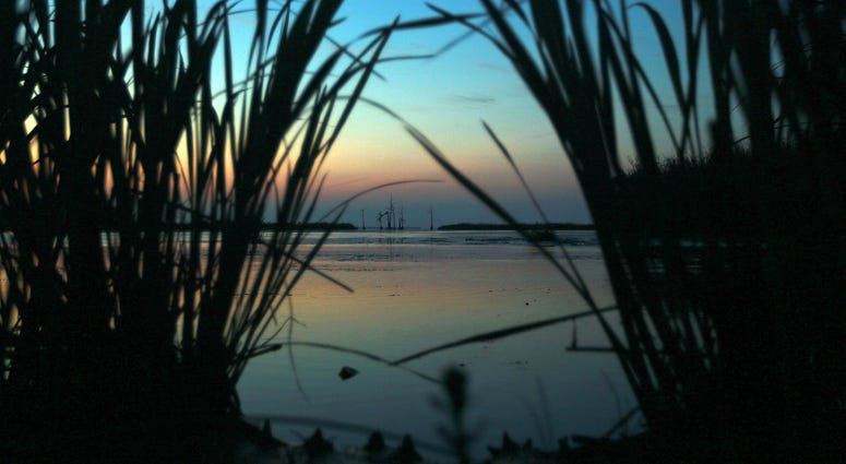 Wetlands