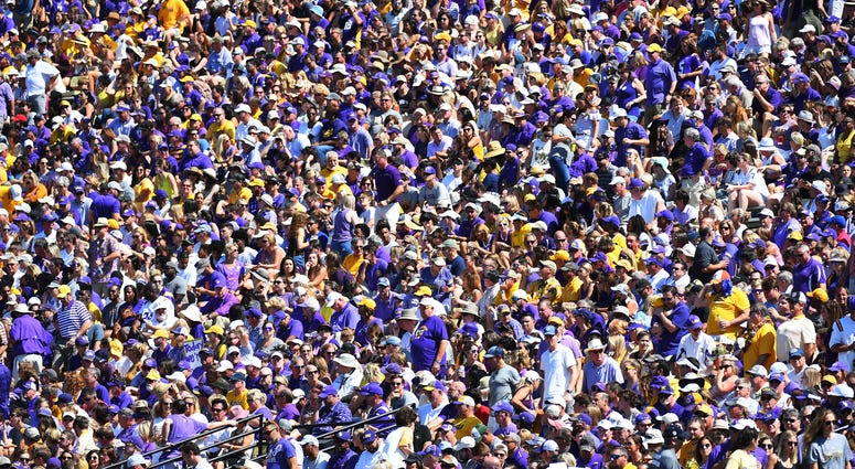 LSU Tigers fans look on from the stands during the first half against the Vanderbilt Commodores at Vanderbilt Stadium.