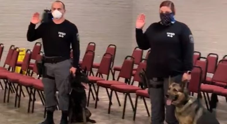 K9