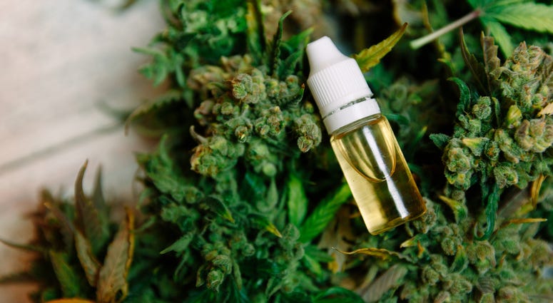 Lawmakers expand Louisiana medical marijuana use | WWL - WWL News, Talk, Sports Radio Station Medical%20marijuana%20%28GettyImages VictoriaBee%29 - Lawmakers expand Louisiana medical marijuana use | WWL - WWL News, Talk, Sports Radio Station