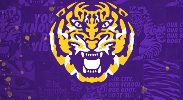 lsu basketball