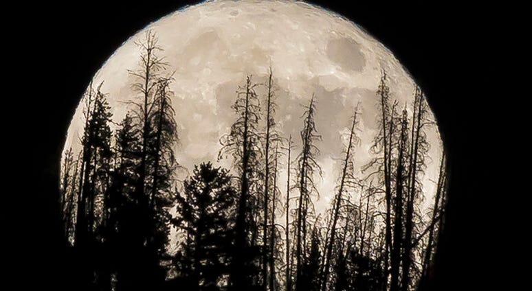 Super Moon