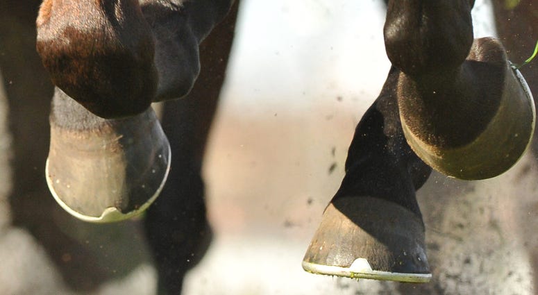 Horse Racing