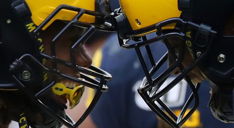 Michigan Wolverines