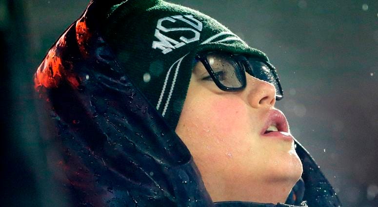Michigan State Fan