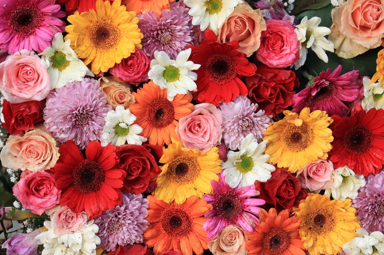 Beautiful flowers