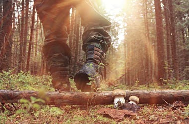 Boots walking in forest