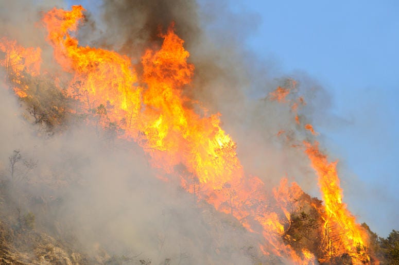 Australian Fire