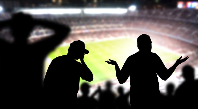 sports, fans, crazy