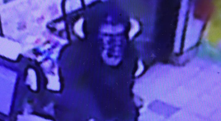 River St. 7-Eleven Robbery Suspect River St. 7-Eleven Robbery Suspect