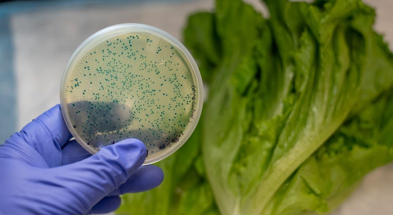 The CDC says do not eat Romaine Lettuce from Salinas, California The CDC says do not eat Romaine Lettuce from Salinas, California
