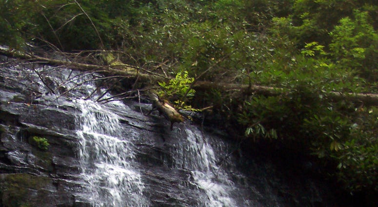 The South Carolina falls are known as Spin Auger Falls, Spoonauger Falls and Rock Cliff Falls. But the 50-foot-high cascade is on a small creek that empties into the Chattooga River in the Ellicott Rock Wilderness. (Photo by Bob Downing/Akron Beacon Journ The South Carolina falls are known as Spin Auger Falls, Spoonauger Falls and Rock Cliff Falls. But the 50-foot-high cascade is on a small creek that empties into the Chattooga River in the Ellicott Rock Wilderness. (Photo by Bob Downing/Akron Beacon Journ