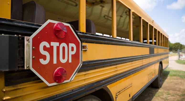 School Bus School Bus