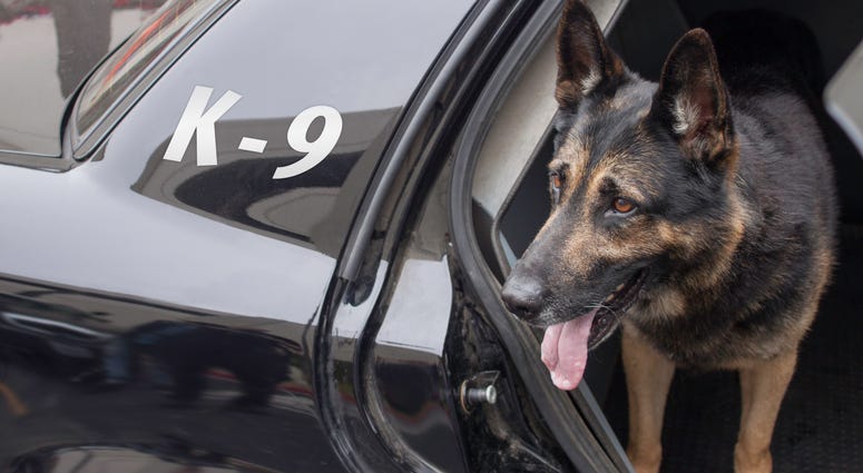 Wreckless Anderson County driver detained by K-9