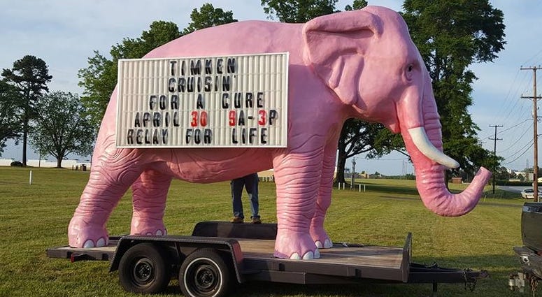 Myrtle the Pink Elephant Myrtle the Pink Elephant