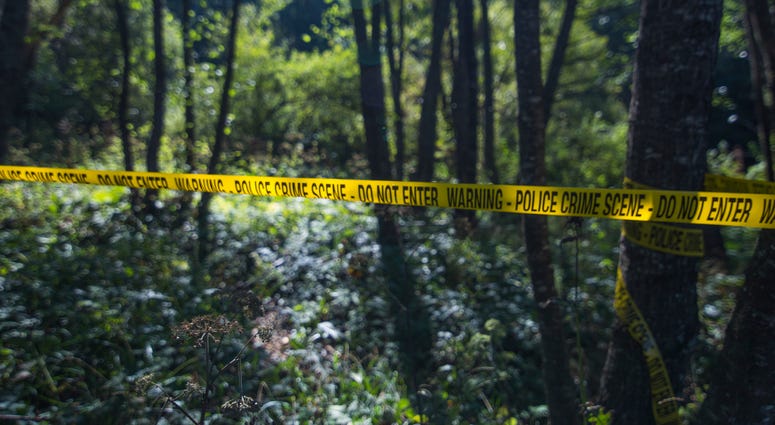 31 yr old Melissa Whitis' burned body found in Chester County, SC ditch.