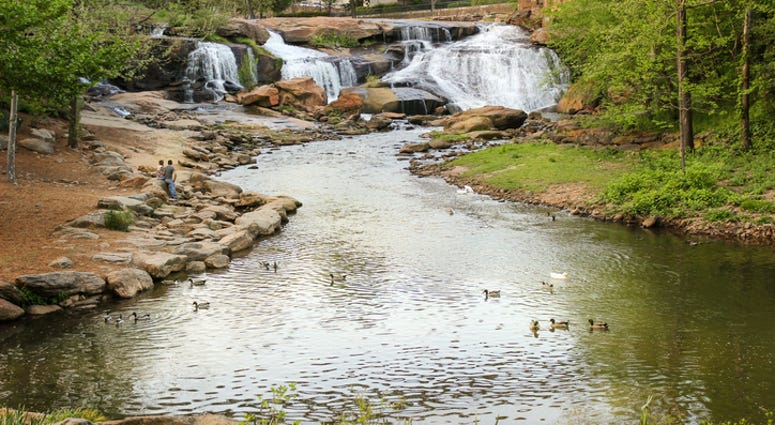 Reedy River Reedy River